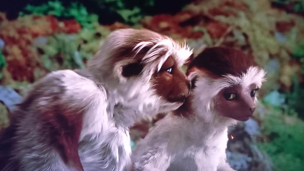 ダイナソーの画像