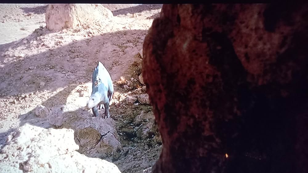 ダイナソーの画像