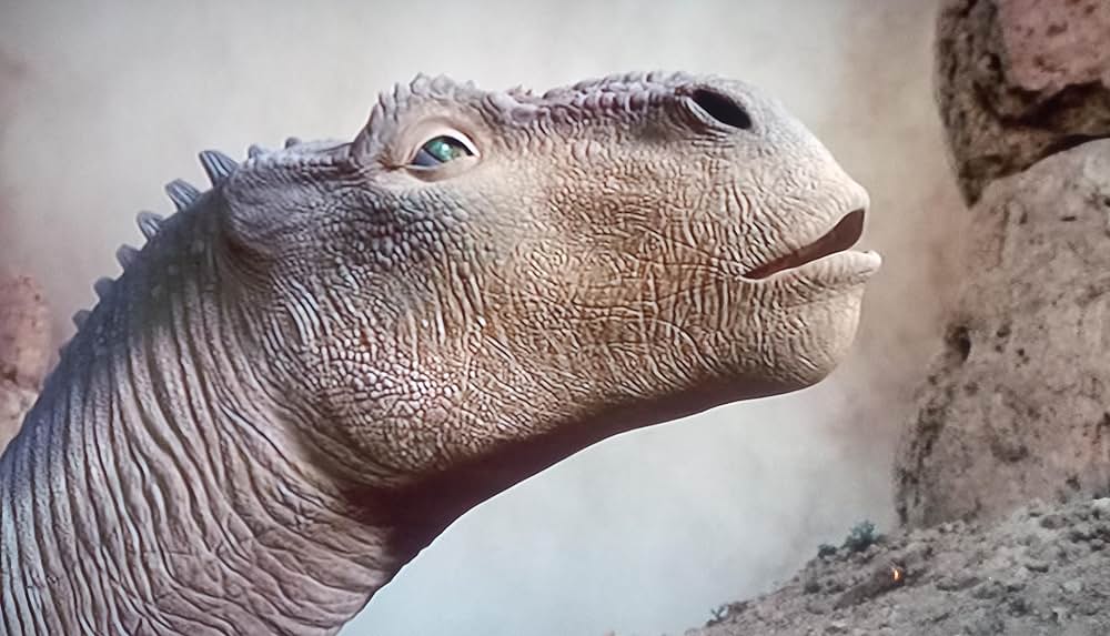 ダイナソーの画像