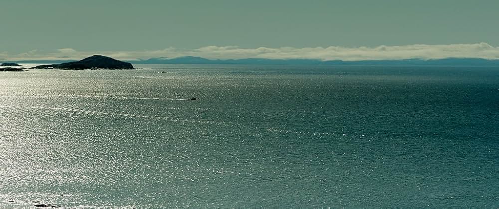 イカルイトの画像