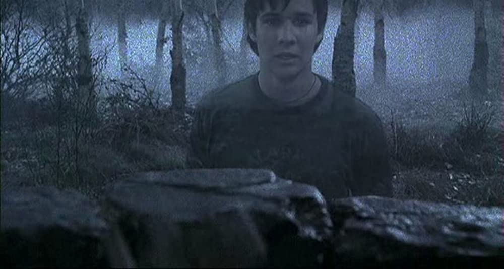 ザ・リング2の画像