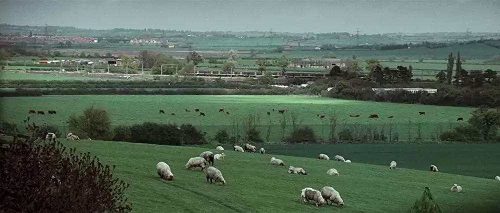 フーリガンの画像