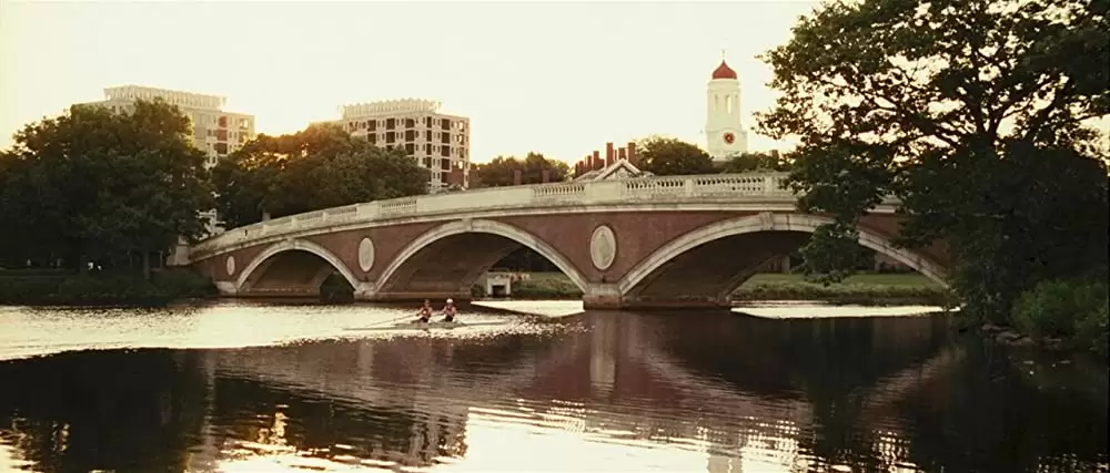 フーリガンの画像