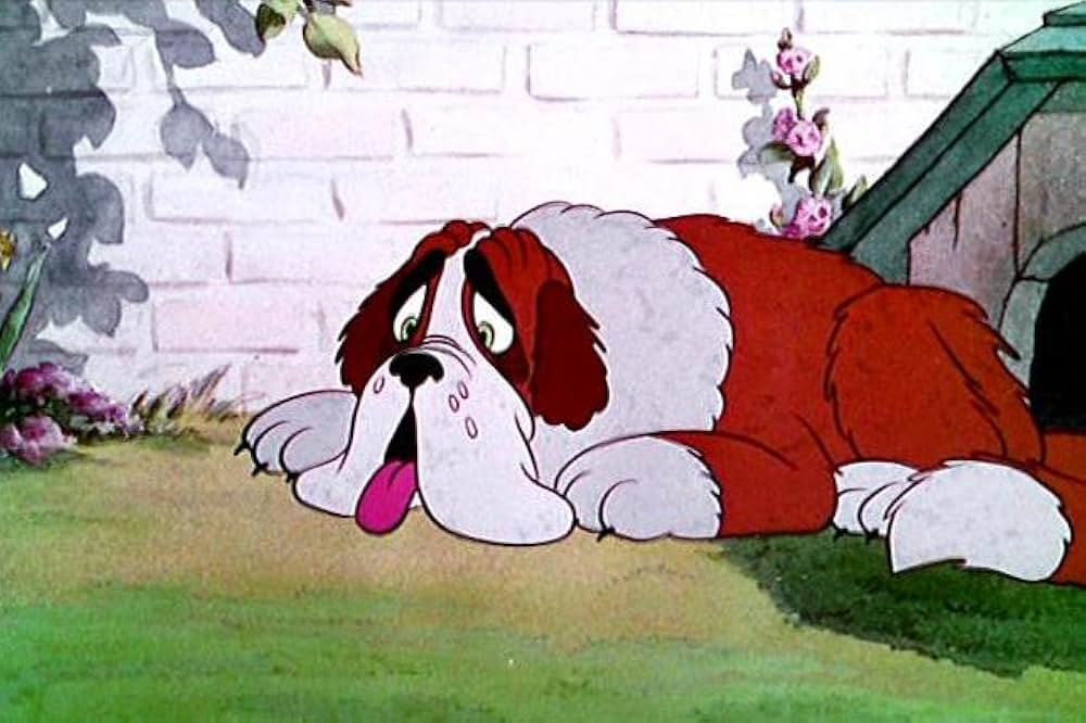 いたずら子猫の画像