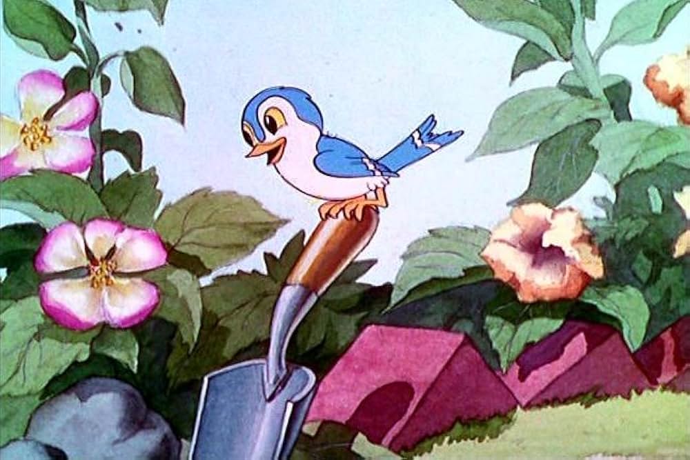 いたずら子猫の画像