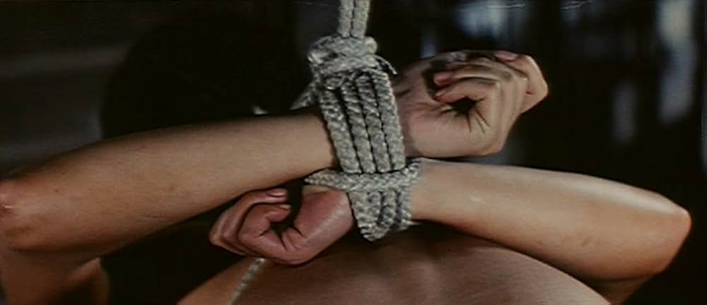 生贄夫人の画像