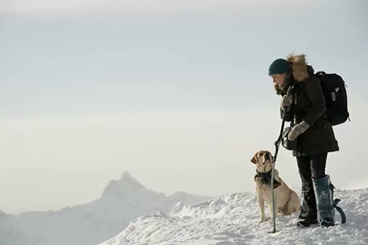 「ザ・マウンテン 決死のサバイバル21日間」ケイト・ウィンスレットの画像