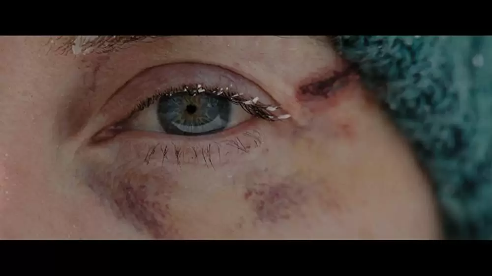 ザ・マウンテン 決死のサバイバル21日間の画像