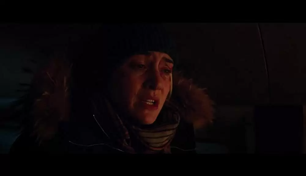 ザ・マウンテン 決死のサバイバル21日間の画像