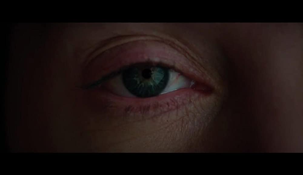 ザ・マウンテン 決死のサバイバル21日間の画像