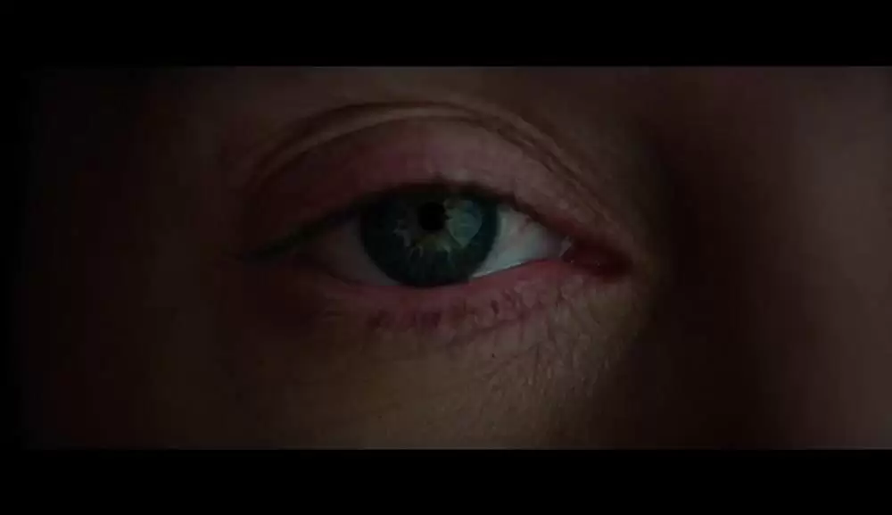 ザ・マウンテン 決死のサバイバル21日間の画像