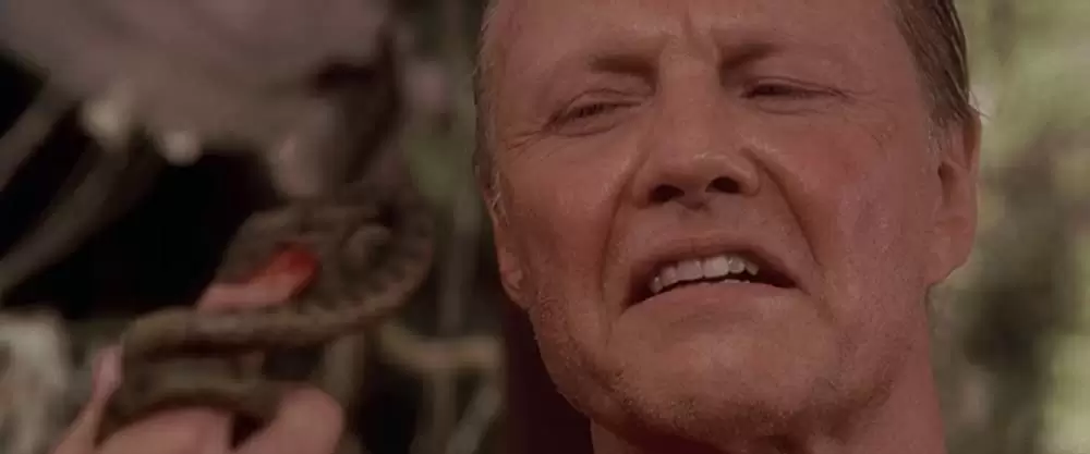 アナコンダの画像