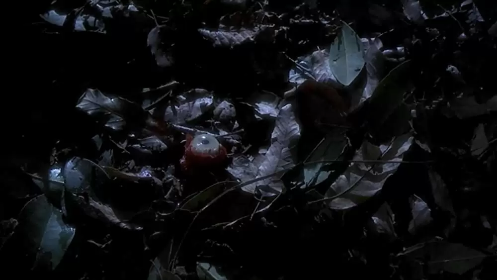 アナコンダの画像