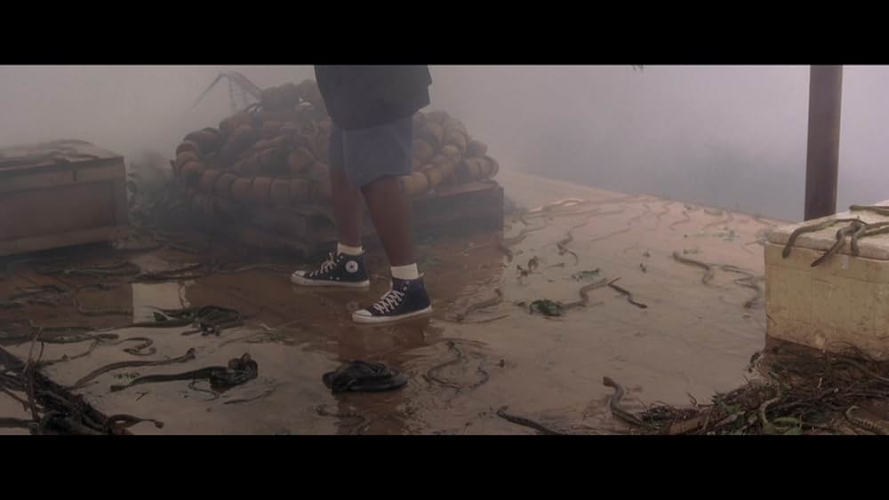 アナコンダの画像