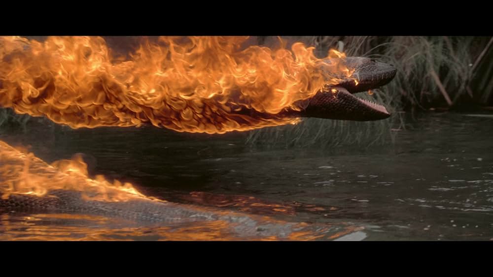 アナコンダの画像