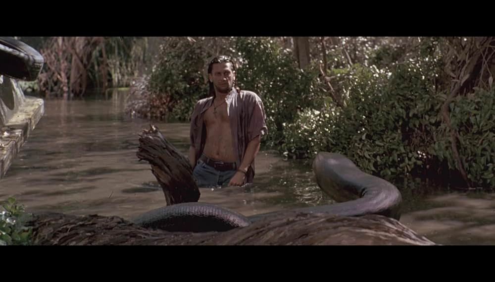 アナコンダの画像