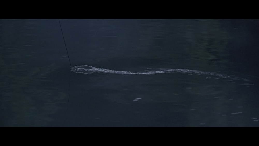 アナコンダの画像