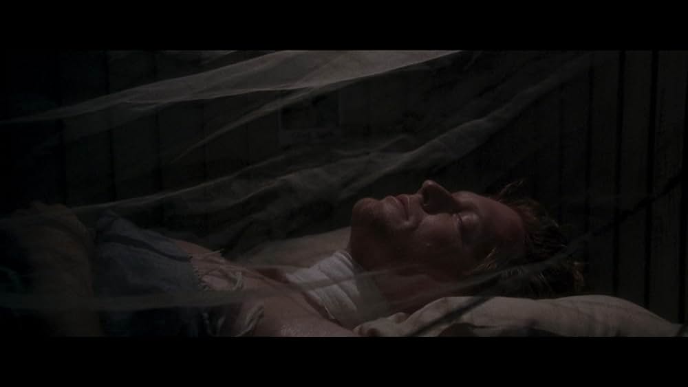 アナコンダの画像