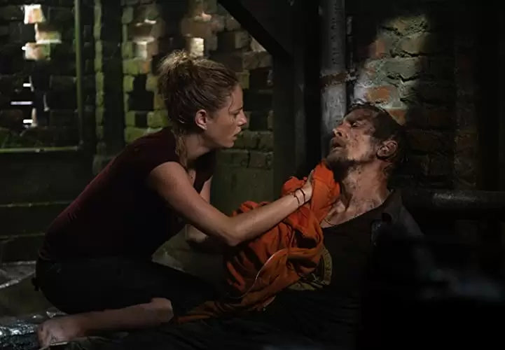 クロール ー凶暴領域ーの画像