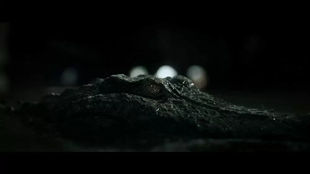 クロール ー凶暴領域ーの画像