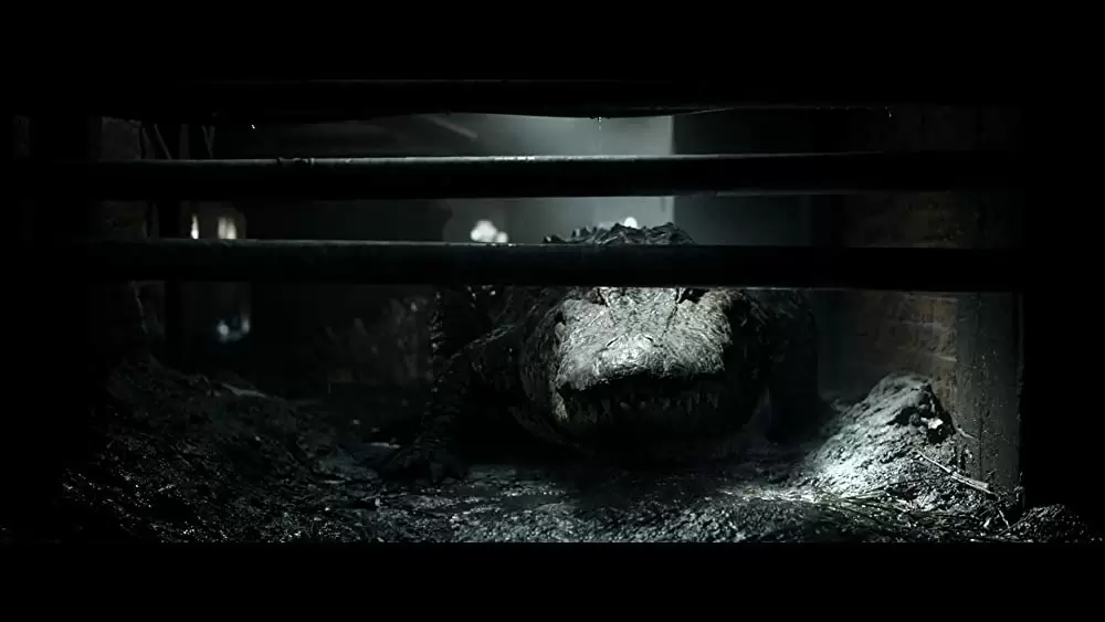 クロール ー凶暴領域ーの画像