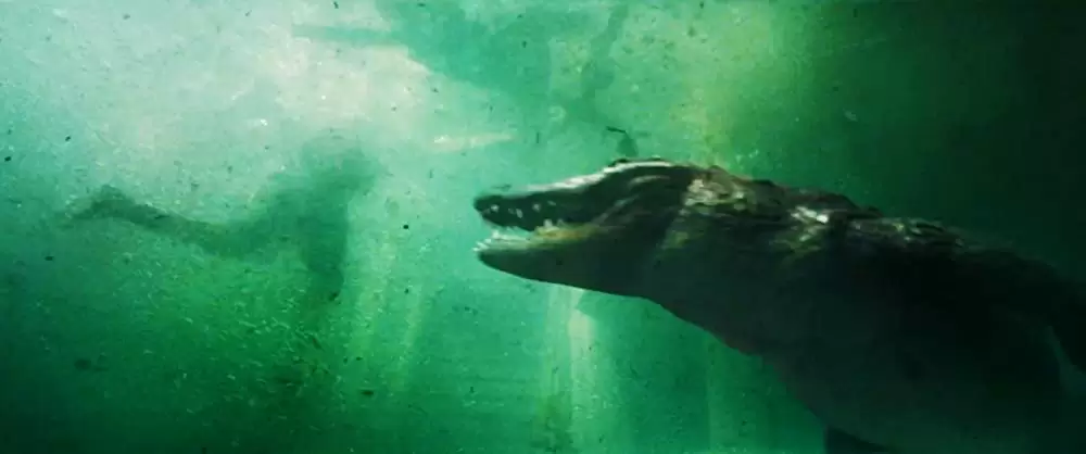 クロール ー凶暴領域ーの画像