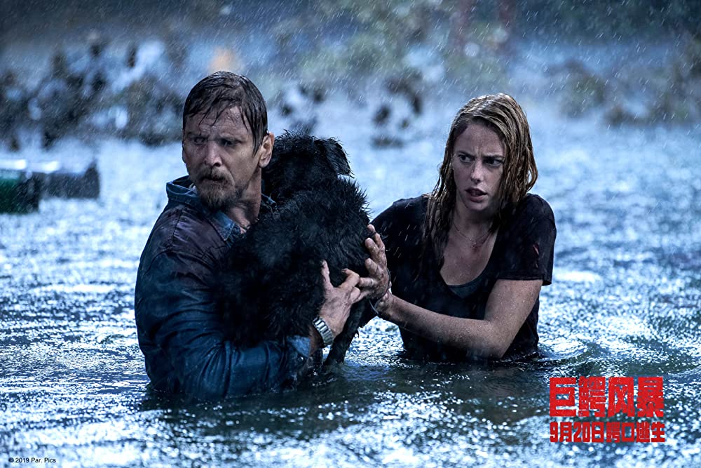 クロール ー凶暴領域ーの画像