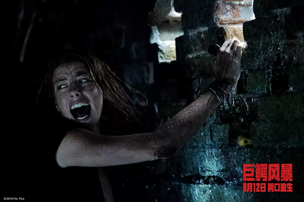 クロール ー凶暴領域ーの画像