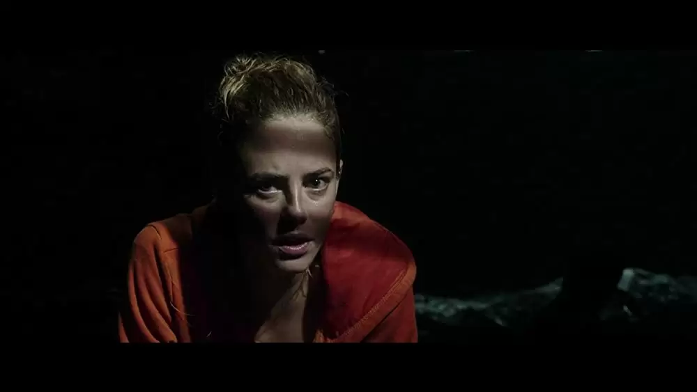 クロール ー凶暴領域ーの画像