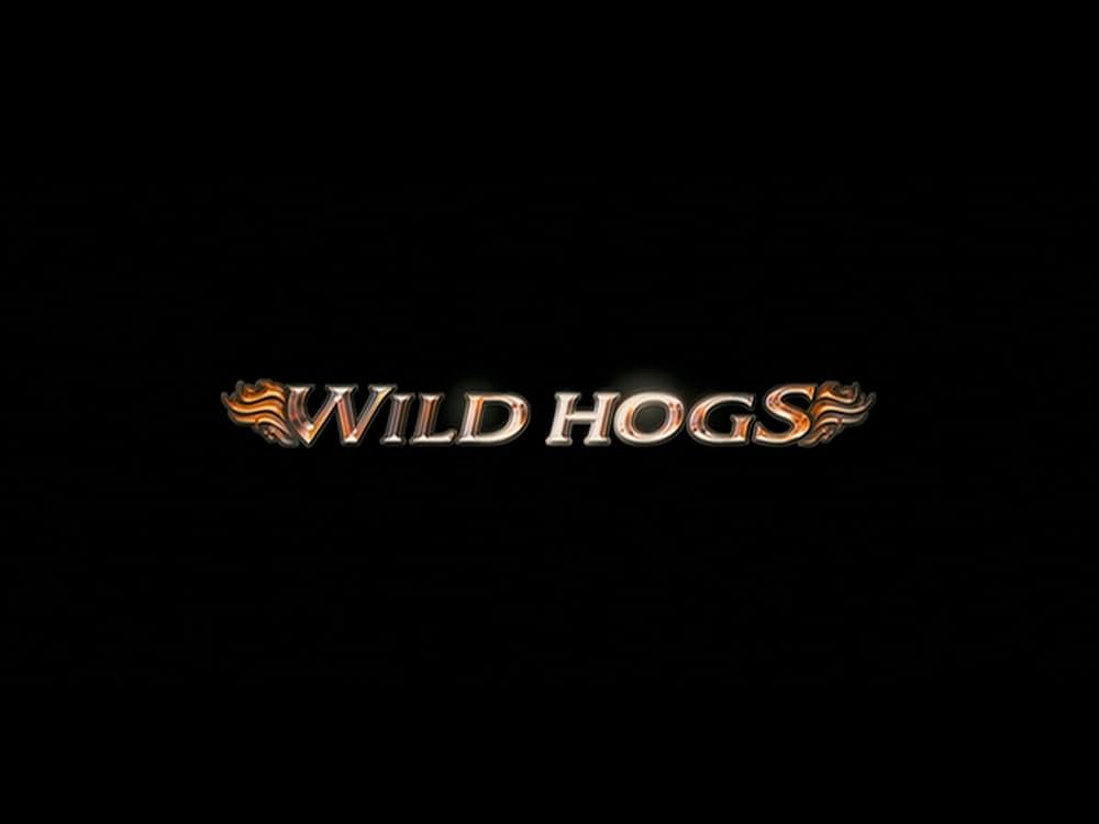 WILD HOGS／団塊ボーイズの画像