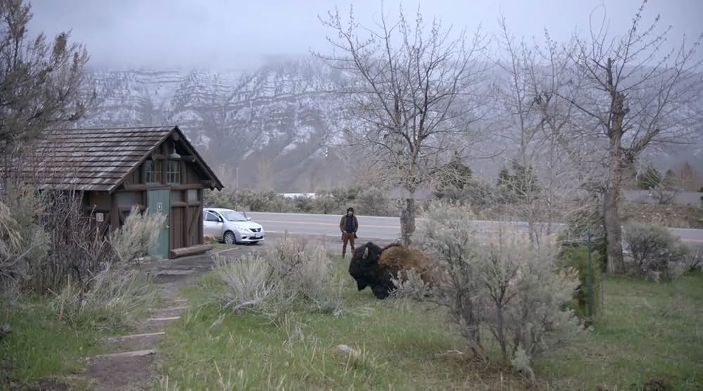 Population Zero（原題）の画像