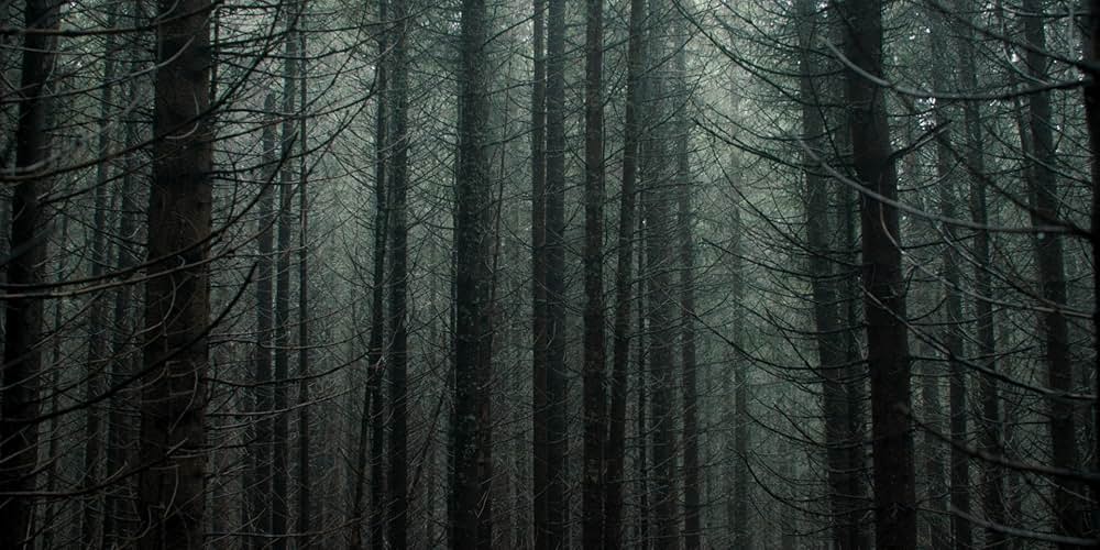 ザ・リチュアル いけにえの儀式の画像