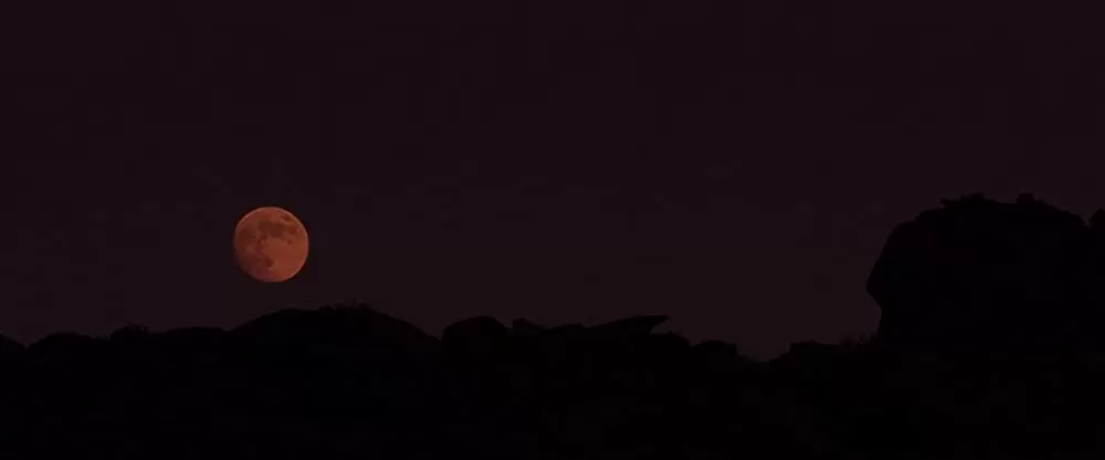 野蛮なやつら SAVAGESの画像