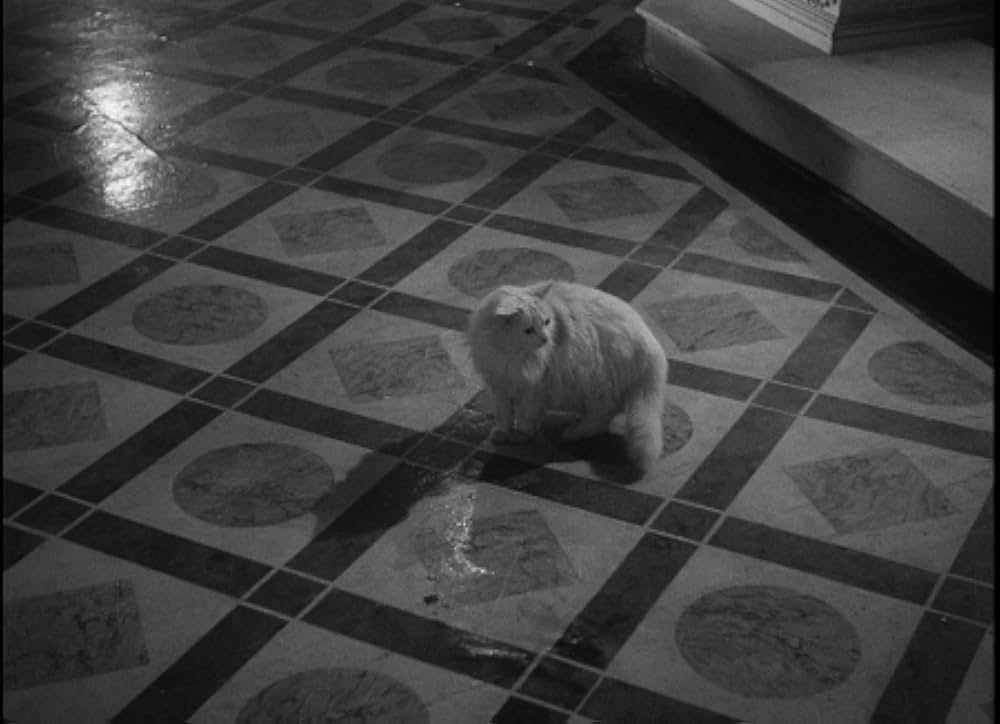 Corridor of Mirrors（原題）の画像