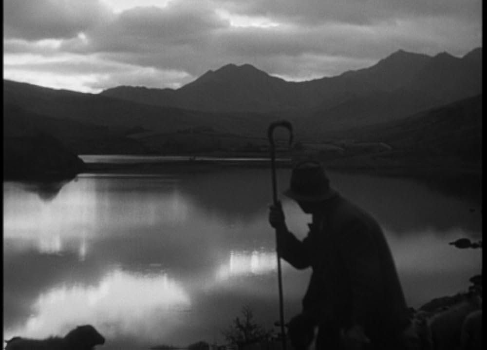 Corridor of Mirrors（原題）の画像