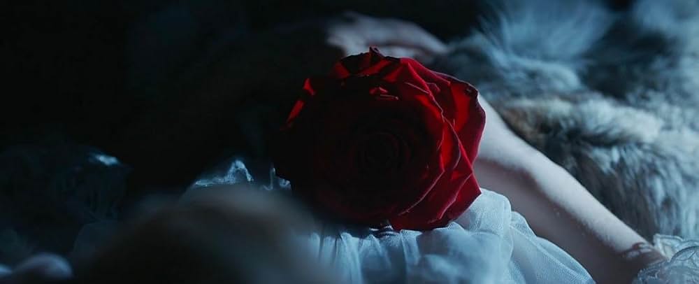 美女と野獣の画像