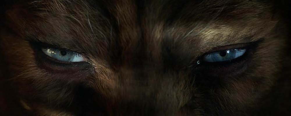 美女と野獣の画像