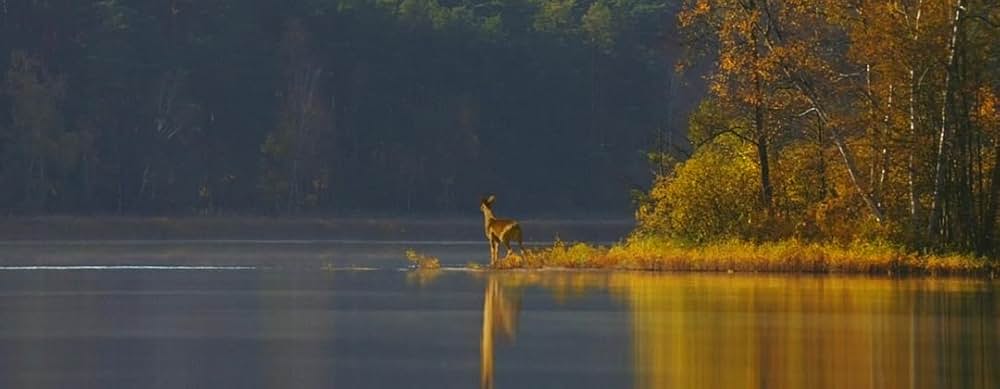 美女と野獣の画像