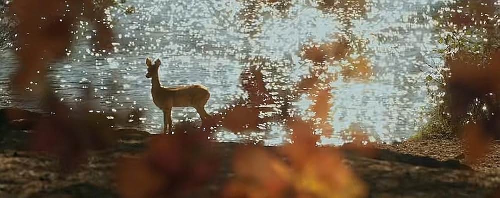 美女と野獣の画像