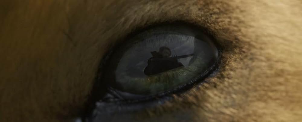 美女と野獣の画像