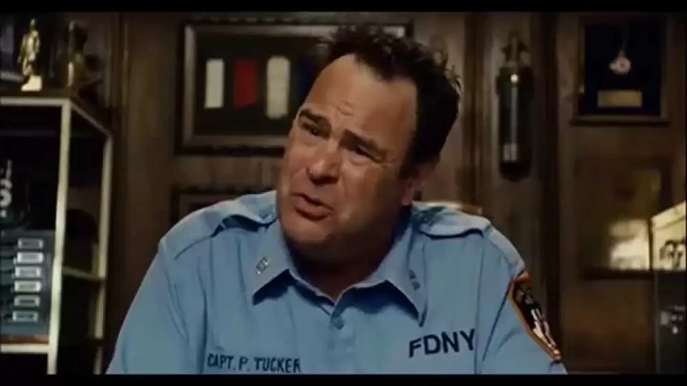 チャックとラリー おかしな偽装結婚！?の画像