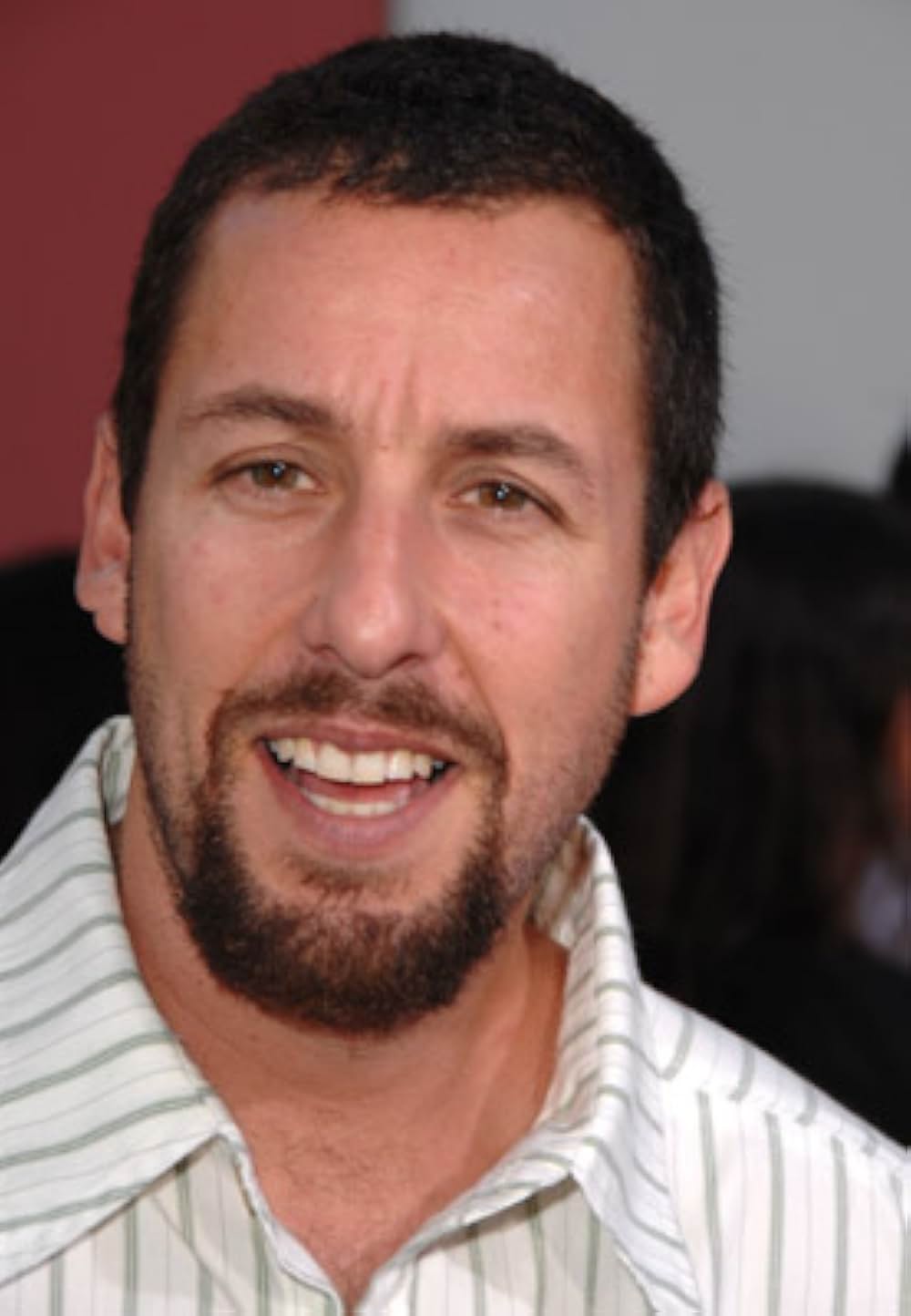 チャックとラリー おかしな偽装結婚！?の画像