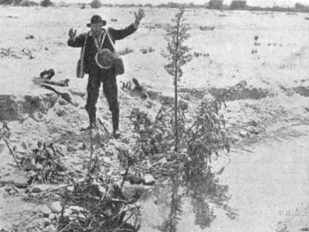 最後の一滴の画像