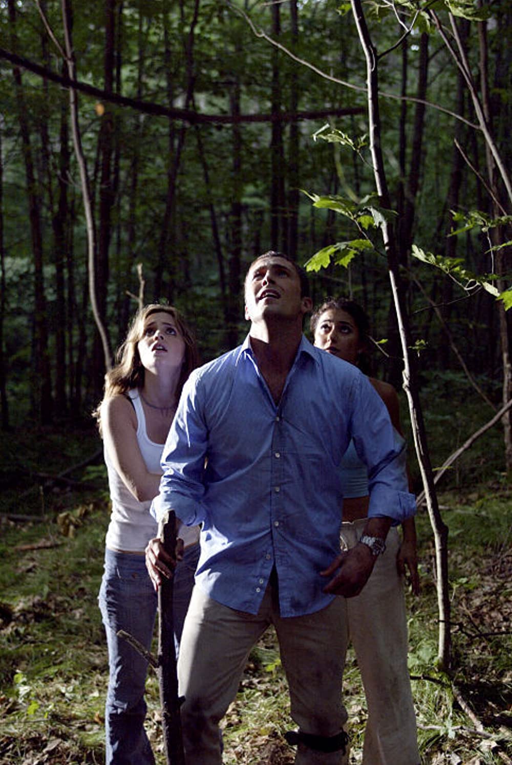 クライモリ／間違ったターンの画像