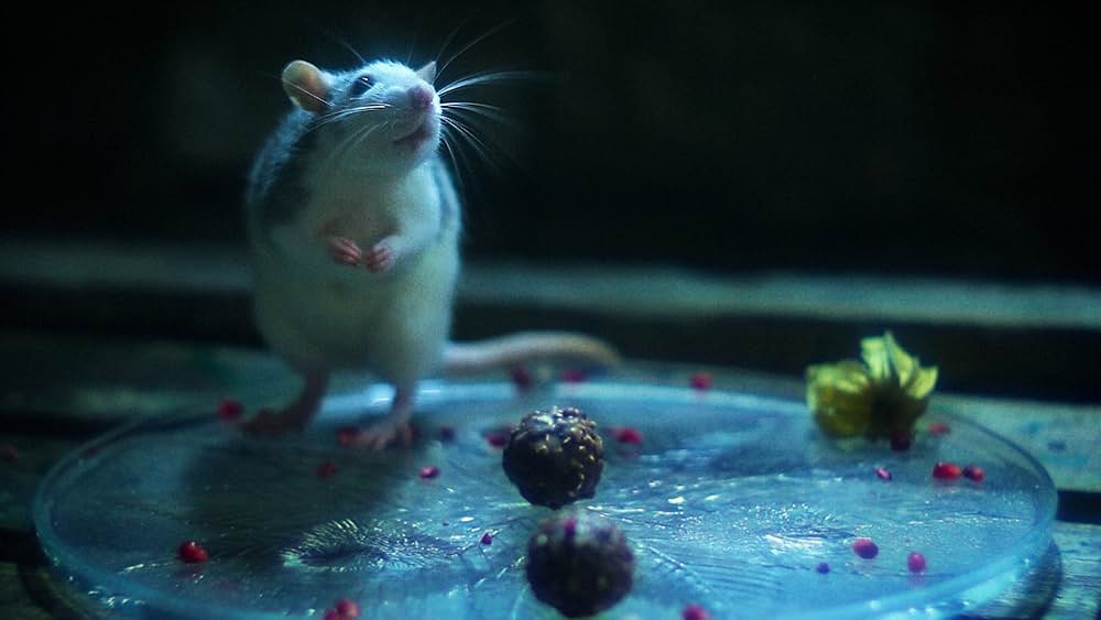 Chainsaws Were Singingの画像