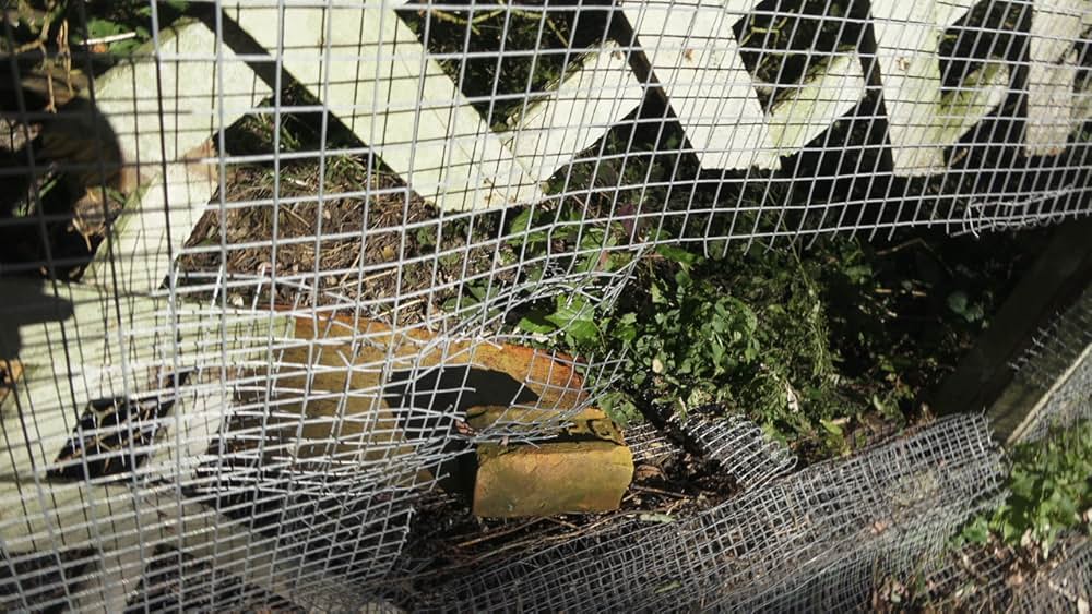 Amityville Thanksgiving（原題）の画像