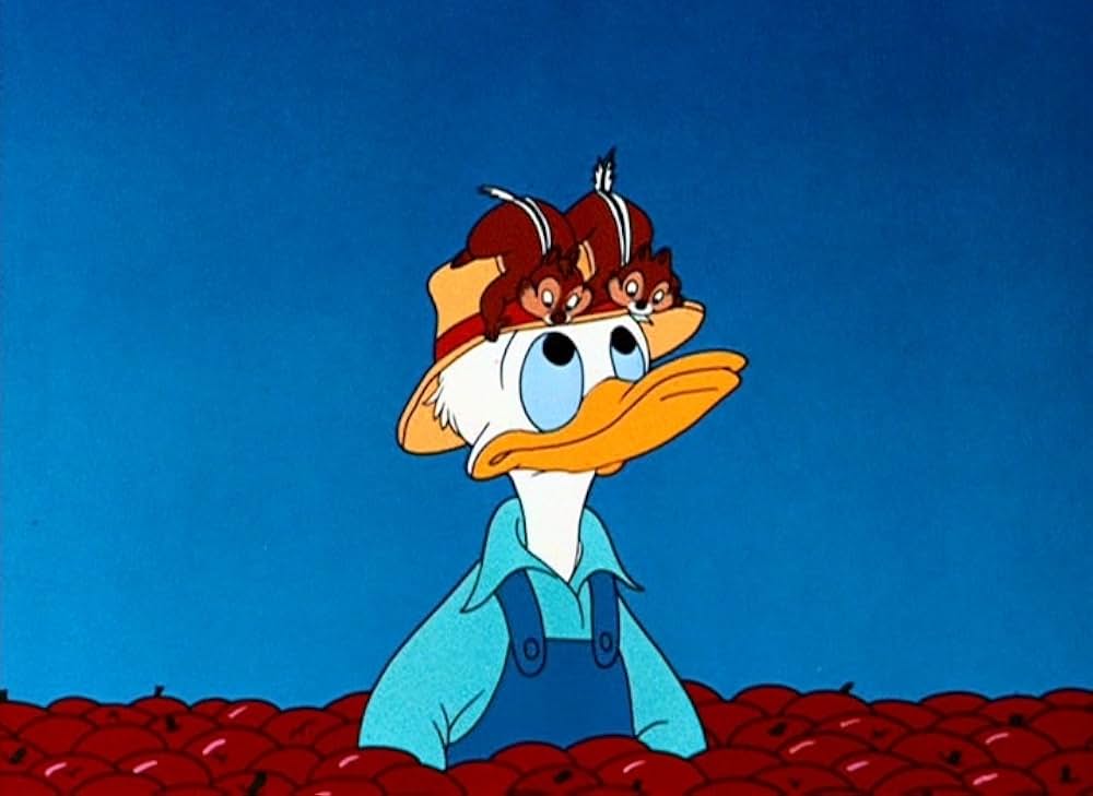 ドナルドのリンゴ園の写真