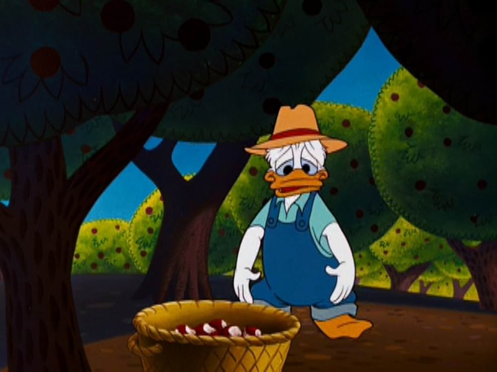 ドナルドのリンゴ園の画像