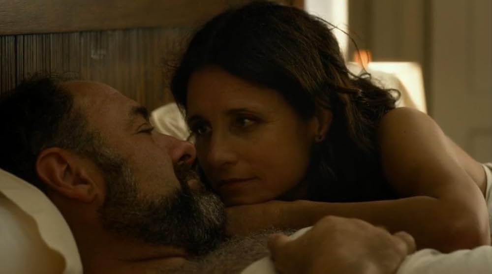 おとなの恋には嘘があるの画像