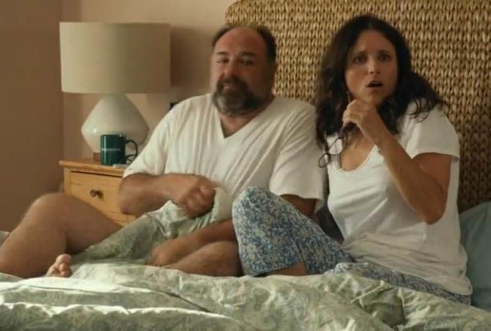 おとなの恋には嘘があるの画像